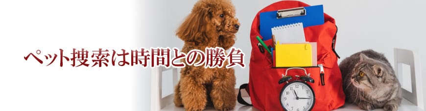 【静岡東部エリア（伊東市、三島市、伊豆市、沼津市）　探偵】子ども見守り調査｜静岡東部エリア（伊東市、三島市、伊豆市、沼津市）で子ども見守り調査で探偵をお探しならスマイルエージェント静岡東部にお任せください。