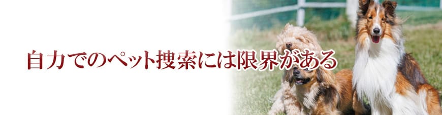 【静岡東部エリア（伊東市、三島市、伊豆市、沼津市）　探偵】子ども見守り調査｜静岡東部エリア（伊東市、三島市、伊豆市、沼津市）で子ども見守り調査で探偵をお探しならスマイルエージェント静岡東部にお任せください。